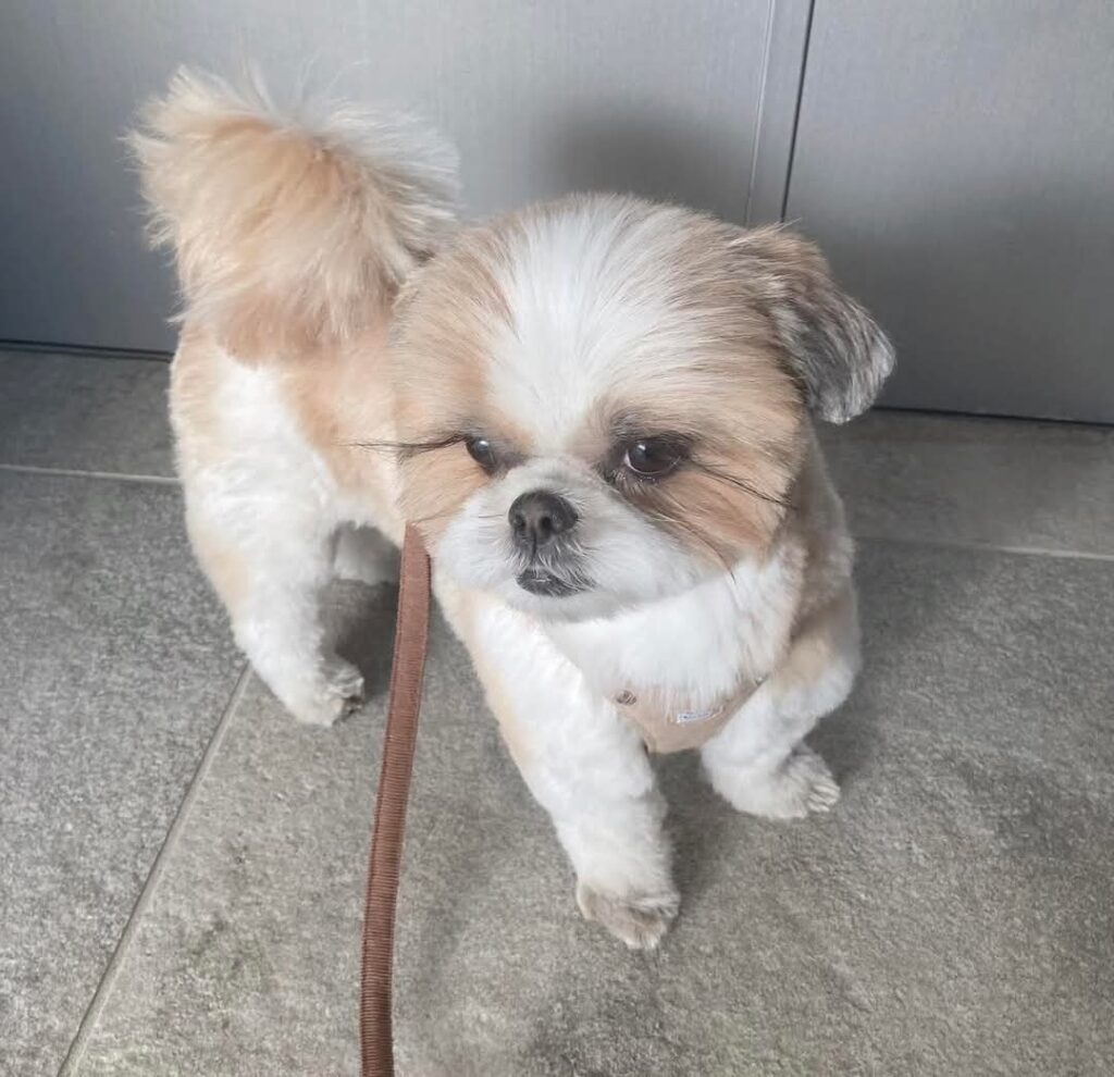 FB_IMG_1764937196001