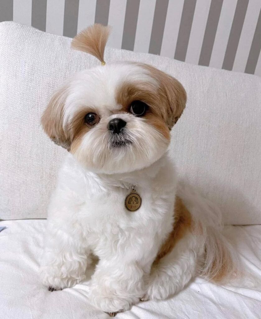 FB_IMG_1765018866737