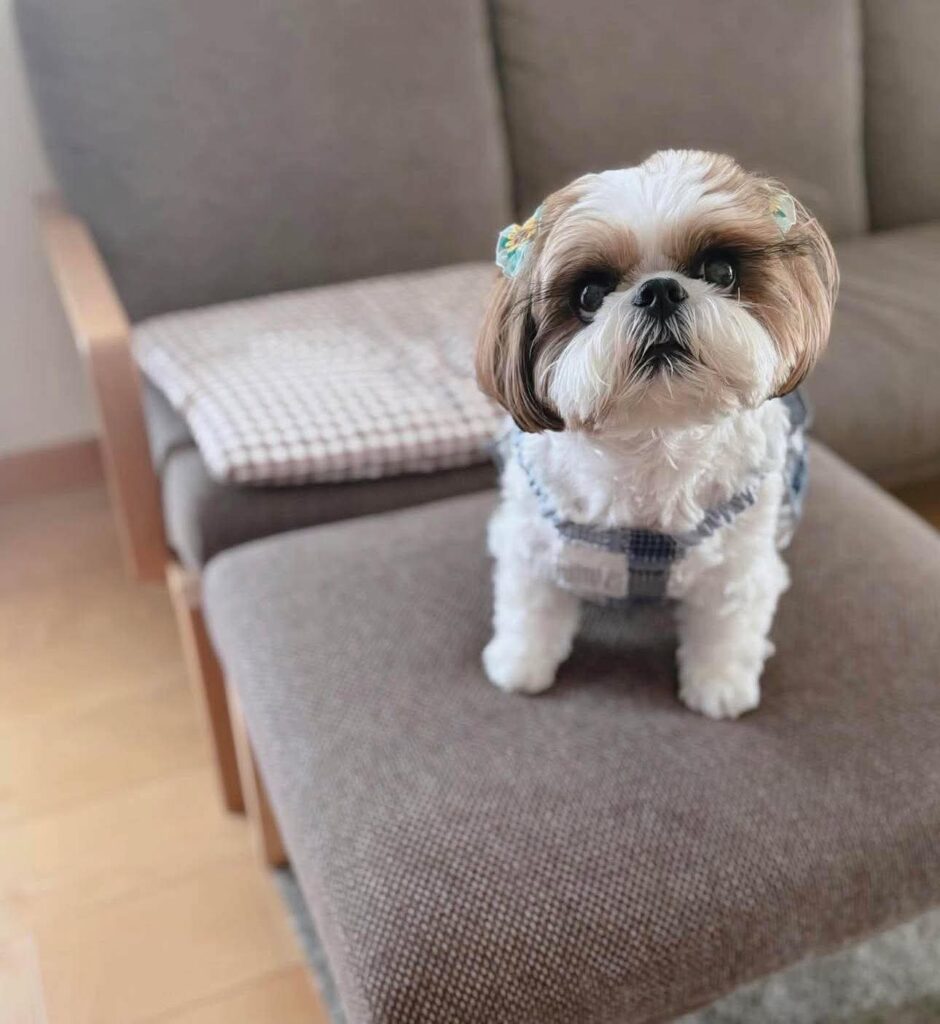 FB_IMG_1765018871552