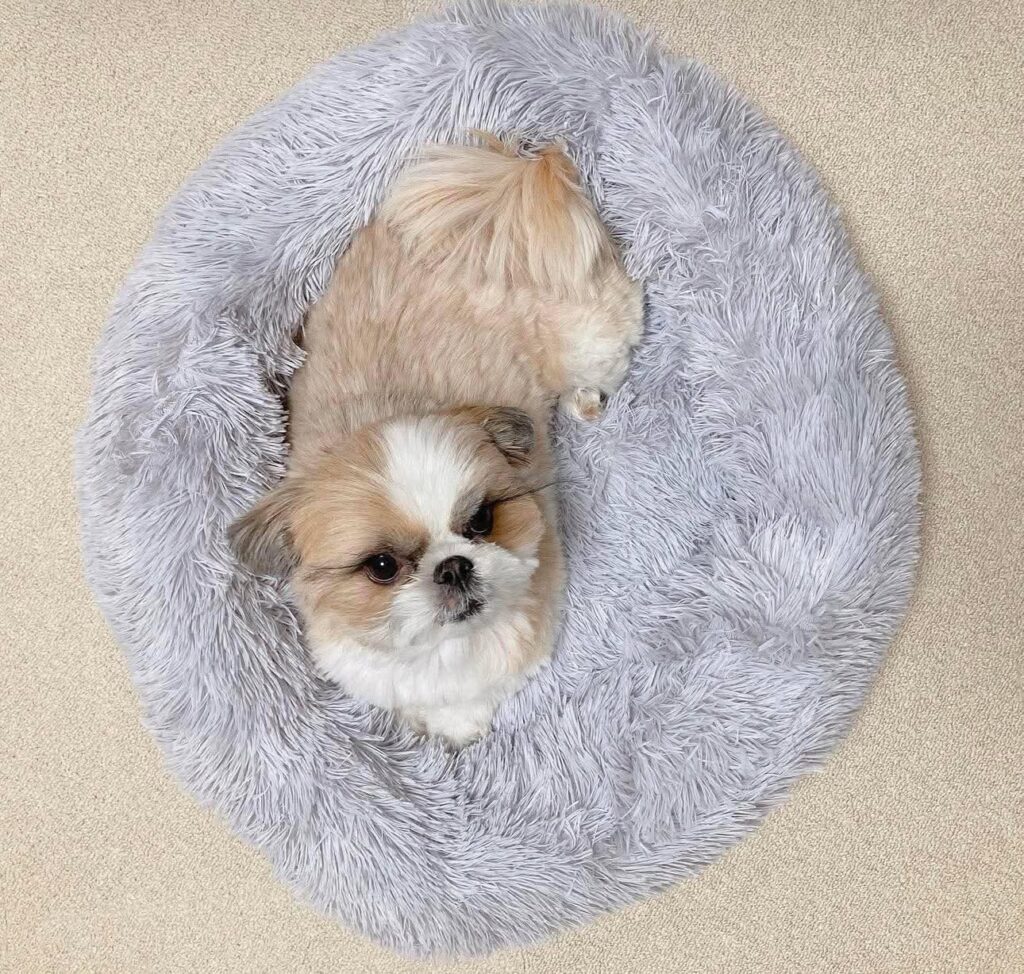 FB_IMG_1765018873723