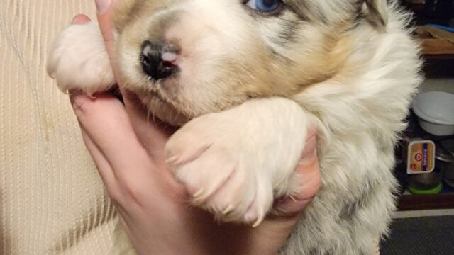 FB_IMG_1765337530122