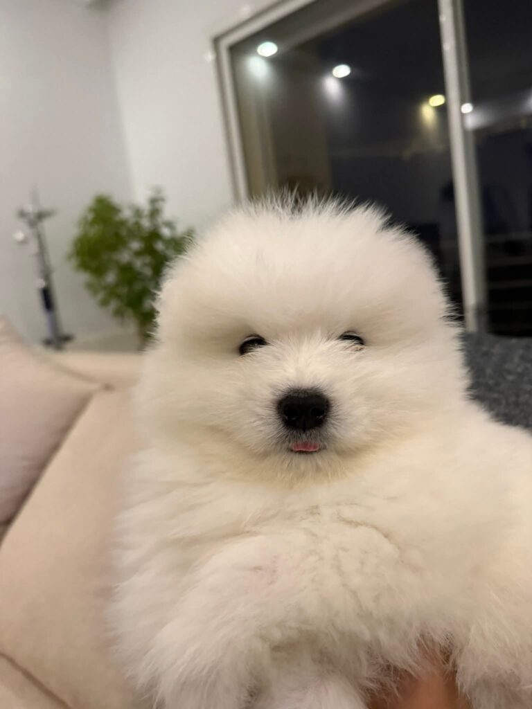 FB_IMG_1767191442180