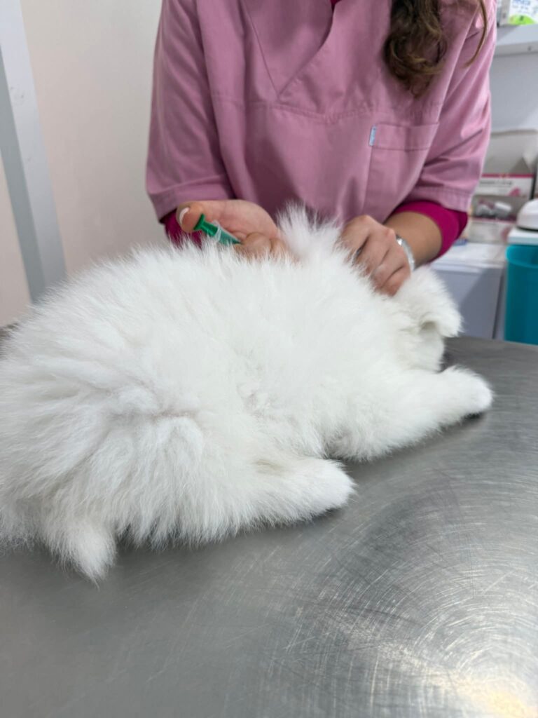 FB_IMG_1767191447529