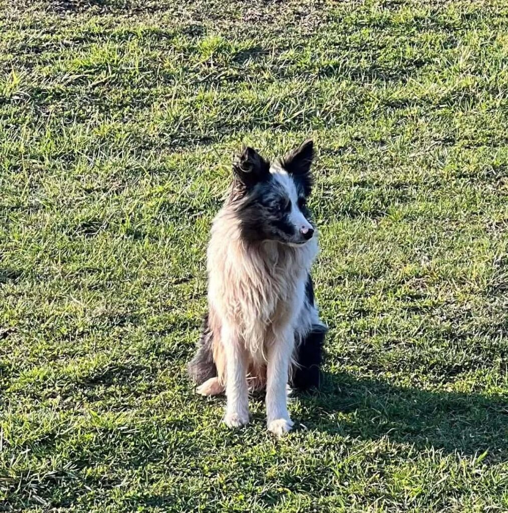 FB_IMG_1770763308924