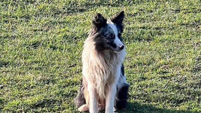 FB_IMG_1770763308924