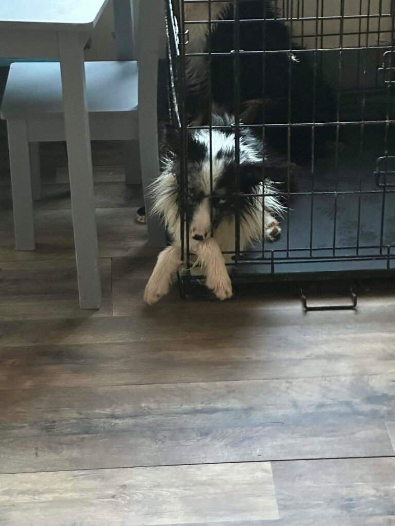 FB_IMG_1770763311663