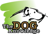 The-dog-knowledge-Logo